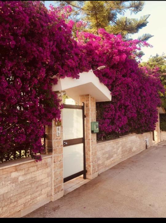 شقة Tulipano Rosso باري المظهر الخارجي الصورة